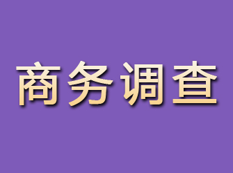 浮梁商务调查